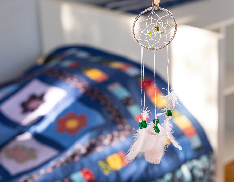 Unenäopüüdjad (7)