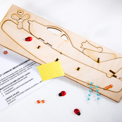 Wooden airplane craft kit