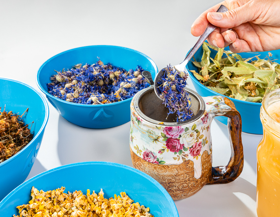 Taimetee õpituba (2)